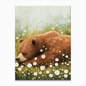Brown Bear Resting In A Field Of Daisies Storybook 2 Canvas Print