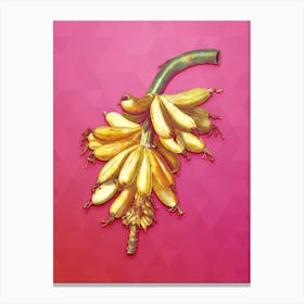 Vintage Banana Botanical Art on Beetroot Purple n.0937 Canvas Print
