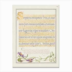 Toadflax From Mira Calligraphiae Monumenta, Joris Hoefnagel Canvas Print