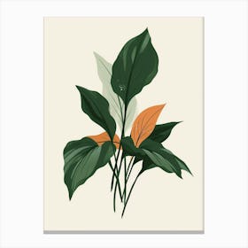 Hosta Plant Minimalist Illustration 3 Canvas Print
