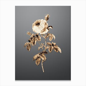 Gold Botanical Provence Rose Bloom on Soft Gray Canvas Print