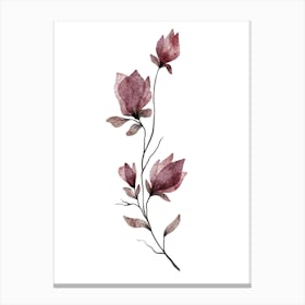 Magnolia Canvas Print