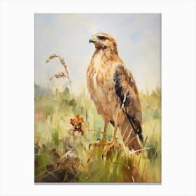 Bird Painting Red Tailed Hawk 2 Canvas Print