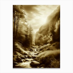 Sepia 12 Canvas Print