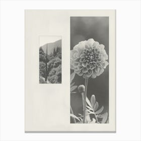 Marigold Flower Photo Collage 3 Canvas Print