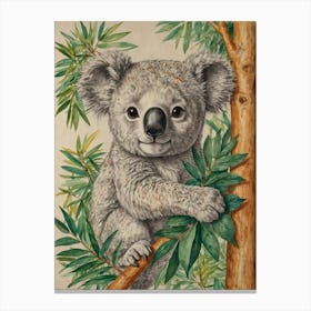 Koala 32 Canvas Print