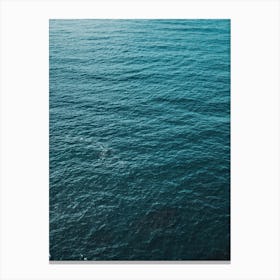 Water Infinity Canvas Print