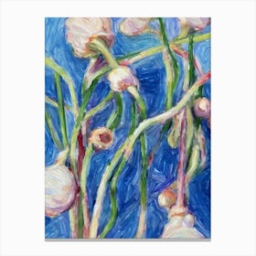 Garlic Scapes Classic vegetable Canvas Print