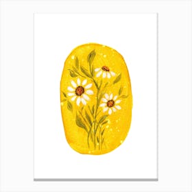 Daisies 1 Canvas Print