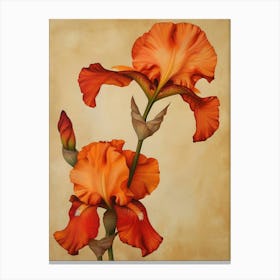 2024 May Poster Canvas Sng Iris 36 Canvas Print