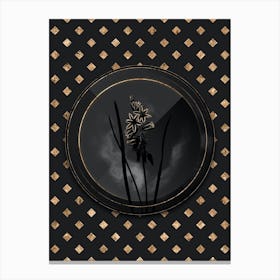 Shadowy Vintage Drooping Star of Bethlehem Botanical on Black with Gold Canvas Print