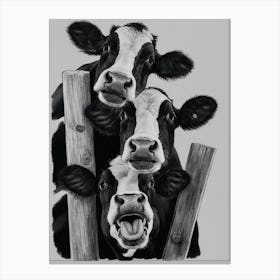 Cows On A Fence Canvas Print