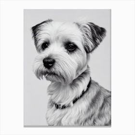 Dandie Dinmont Terrier B&W Pencil dog Canvas Print