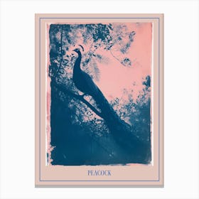 Pink & Blue Peacock Cyanotype Style 6 Poster Canvas Print