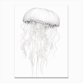 Turritopsis Dohrnii Importal Jellyfish Watercolour 8 Canvas Print