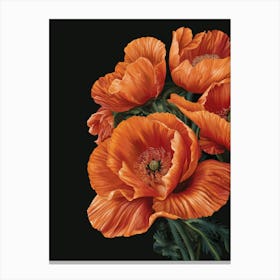 Poppies 5 Canvas Print