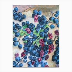 Blackberry Classic Fruit Canvas Print