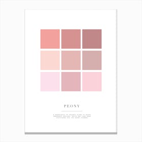 Peony Colour Palette Canvas Print
