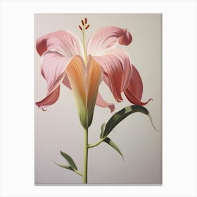 Floral Illustration Gloriosa Lily 1 Canvas Print
