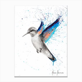 Azul Hummingbird Canvas Print