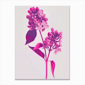 Hot Pink Lilac 2 Canvas Print