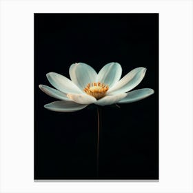 Lotus Flower 16 Canvas Print