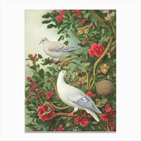 Dove Haeckel Style Vintage Illustration Bird Canvas Print