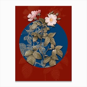 Vintage Botanical Red Bramble Leaved Rose on Circle Blue on Red n.0167 Canvas Print