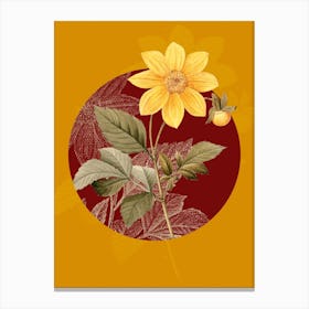 Vintage Botanical Dahlia Simplex on Circle Red on Yellow n.0148 Canvas Print