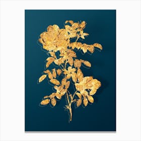 Vintage Red Sweetbriar Rose Botanical in Gold on Teal Blue n.0236 Canvas Print