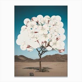 Der Wunderbaum Blueht Canvas Print