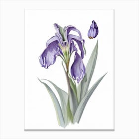 Iris Floral Quentin Blake Inspired Illustration 1 Flower Canvas Print