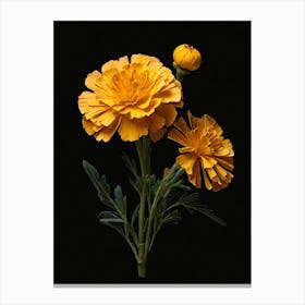 Carnations 8 Canvas Print