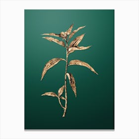 Gold Botanical Dayflower on Dark Spring Green n.1818 Canvas Print