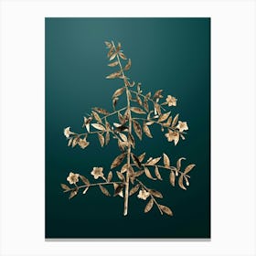 Gold Botanical Goji Berry Branch on Dark Teal n.4206 Canvas Print