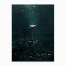 Lotus Flower 55 Canvas Print