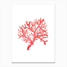 Coral 2 Canvas Print