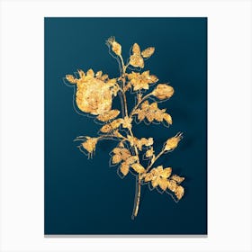 Vintage Silver Flowered Hispid Rose Botanical in Gold on Teal Blue Canvas Print