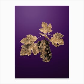 Gold Botanical San Columbano Grapes on Royal Purple n.0622 Canvas Print