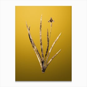 Gold Botanical Iris Martinicensis on Mango Yellow n.3653 Canvas Print