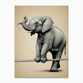 Elephant On A Tightrope Canvas Print