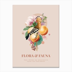 Flora & Fauna with Hoopoe Canvas Print