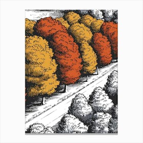 Autumn Trees 3 Canvas Print