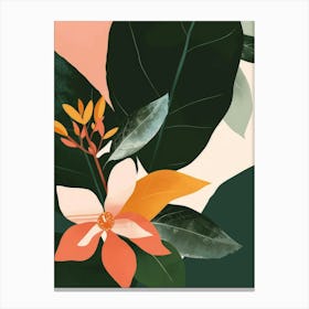 Magnolia 4 Canvas Print