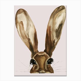 Hare Wildlife Canvas Print