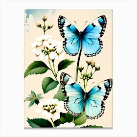 Blue Butterflies On White Flowers Canvas Print