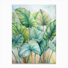 6 Plants With Enormous Leaves Like Elephant Ears (1) Canvas Print