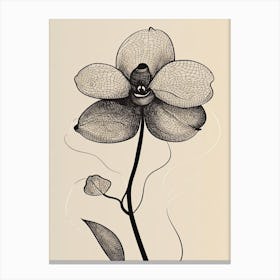 Line Art Orchids Flowers Illustration Neutral 19 Canvas Print