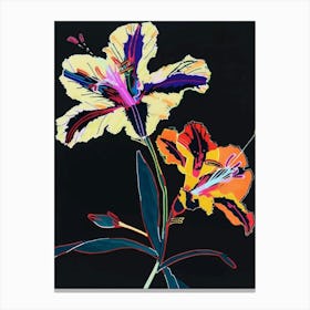 Neon Flowers On Black Wild Pansy 4 Canvas Print