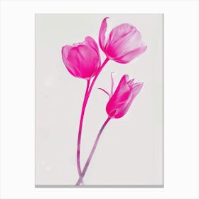 Hot Pink Tulip 1 Canvas Print